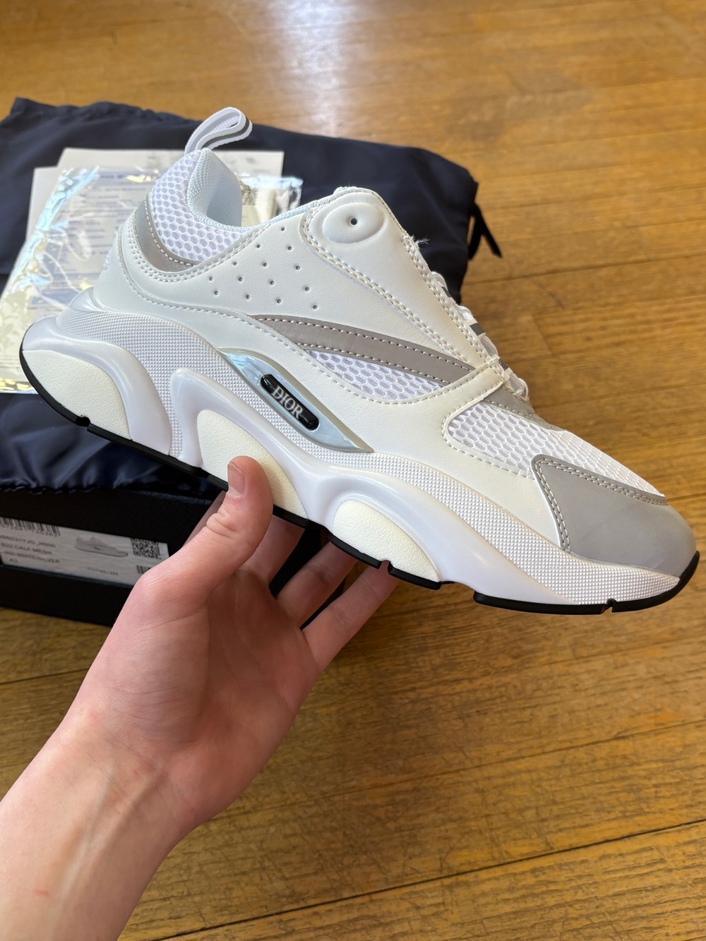 Dior B22